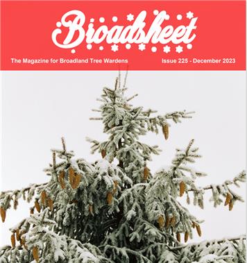  - Christmas Edition of Broadsheet magazine
